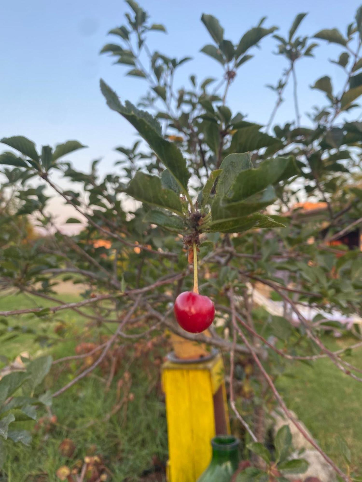 Agrib&B Lemontree Garde'N Сиракуза Екстериор снимка